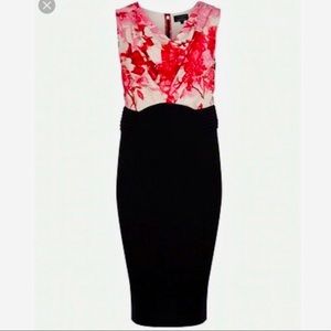 ✨TED BAKER Dega Floral Cowl Bodycon Dress- T2/US6✨